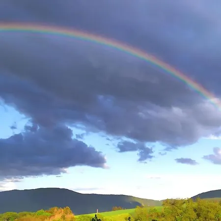 Schau-rhein#2 - On Of Bacharach, Rhineview Bacharach
