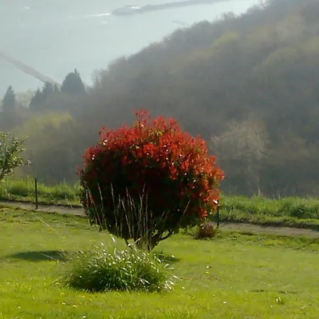 Schau-rhein#2 - On Of Bacharach, Rhineview