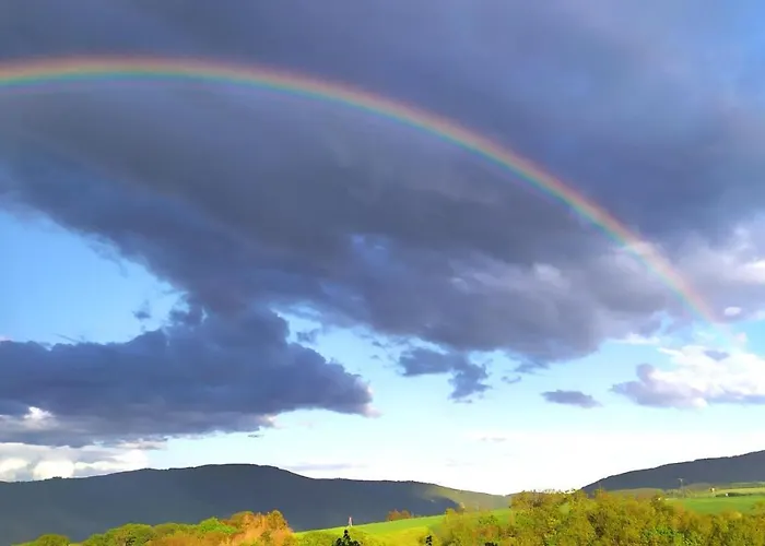 Schau-rhein#2 - On Of Bacharach, Rhineview Bacharach