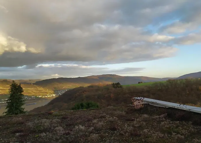 Schau-rhein#2 - On Of Bacharach, Rhineview