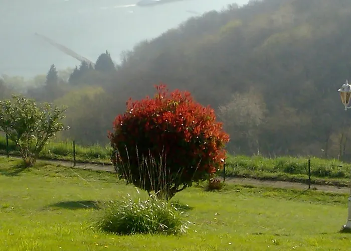 Schau-rhein#2 - On Of Bacharach, Rhineview