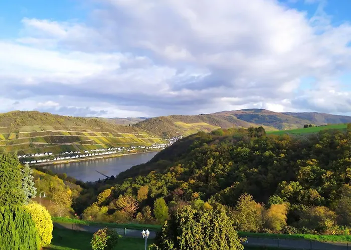 Schau-rhein#2 - On Of Bacharach, Rhineview Bacharach